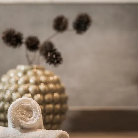 Lenzup Lejlighed Mayrhofen